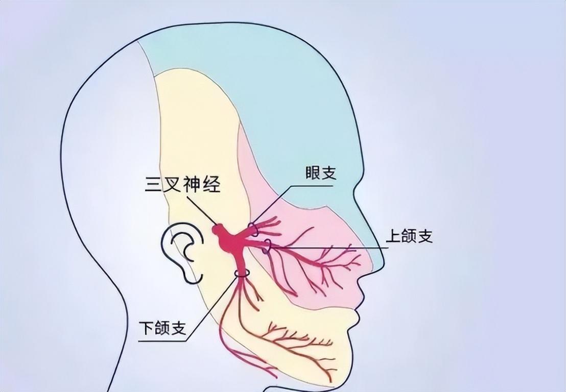 世界上最痛的病是什么病？疼痛排名前4的疾病，经历过的真了不起  第10张