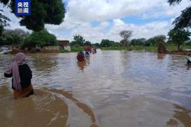 苏丹多地遭遇暴雨和洪灾 已致173人死亡  第1张