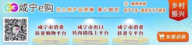 202.54万人次！中秋小长假咸宁人气爆棚  第8张