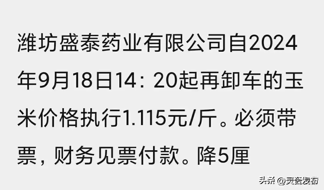 9月18号最新玉米价格