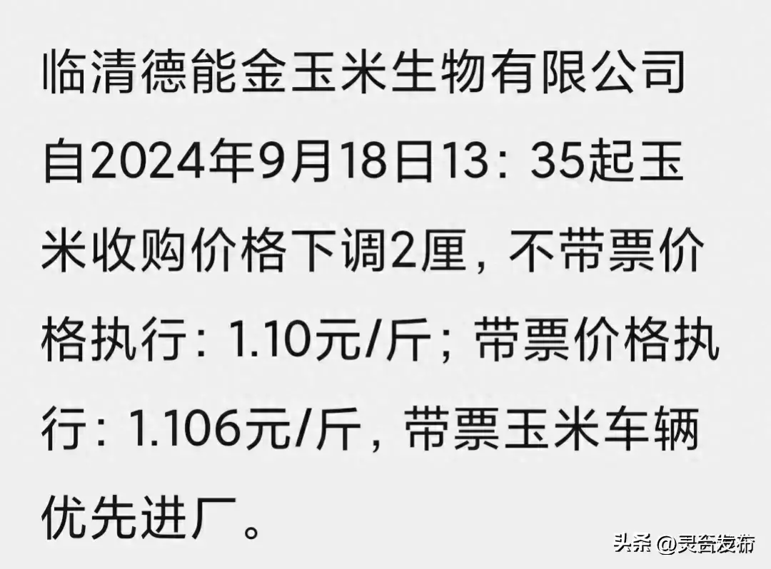 9月18号最新玉米价格