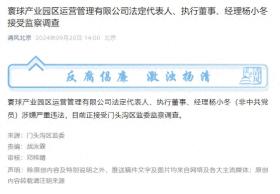 寰球产业园区运营管理有限公司法定代表人、执行董事、经理杨小冬接受监察调查