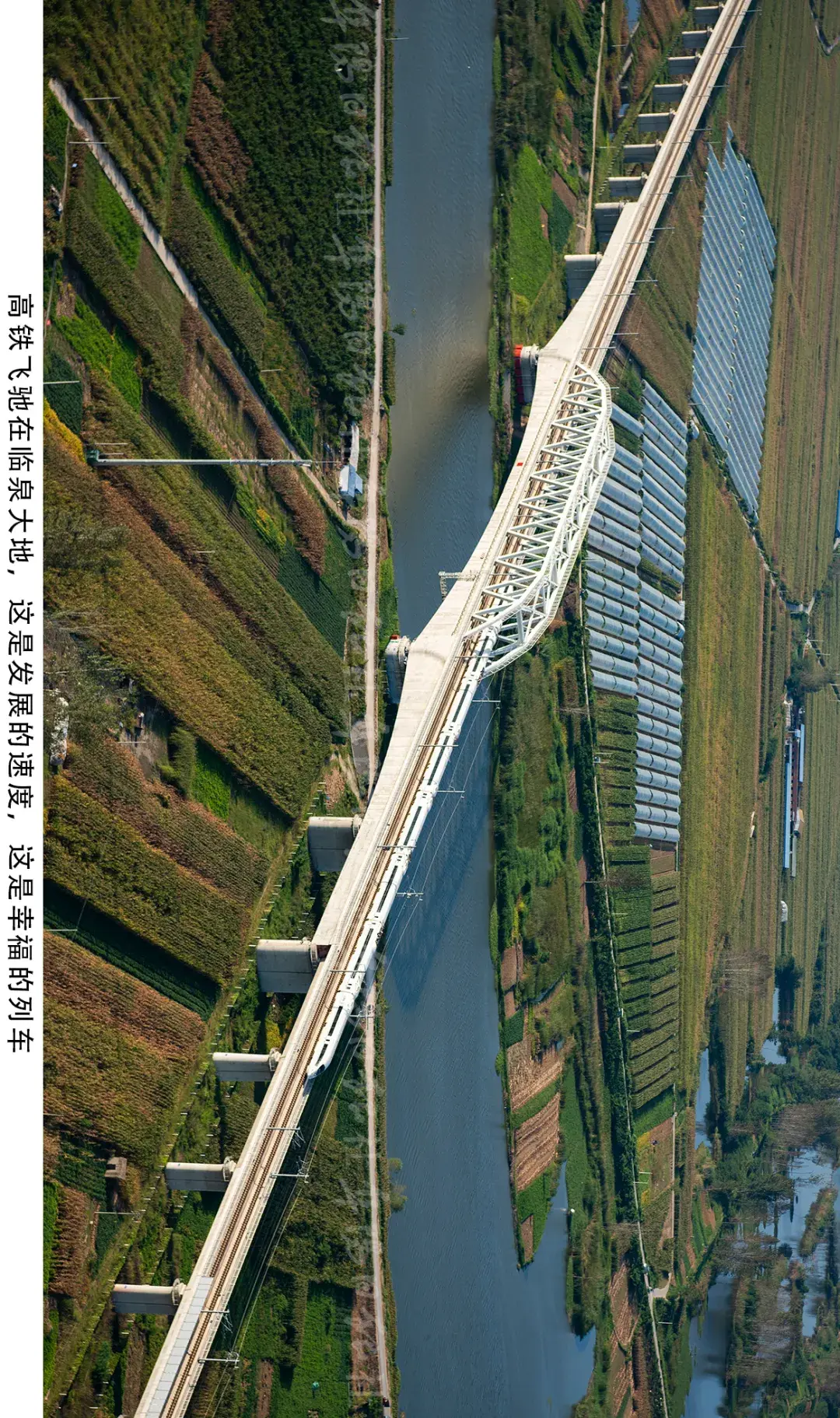 空中看阜阳丨泉河岸边新临泉  第16张